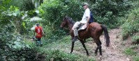 /album/fotogaleria/cabalgata-en-la-selva-jpg/